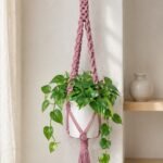 Plant Hanger
